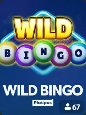 Wild Bingo BC Game Saint-Martin game cover