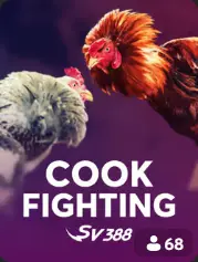 Cock Fighting BC Game Saint-Martin game cover
